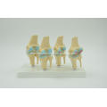 /msite/products/detail/productid/57018469/id/666382.html